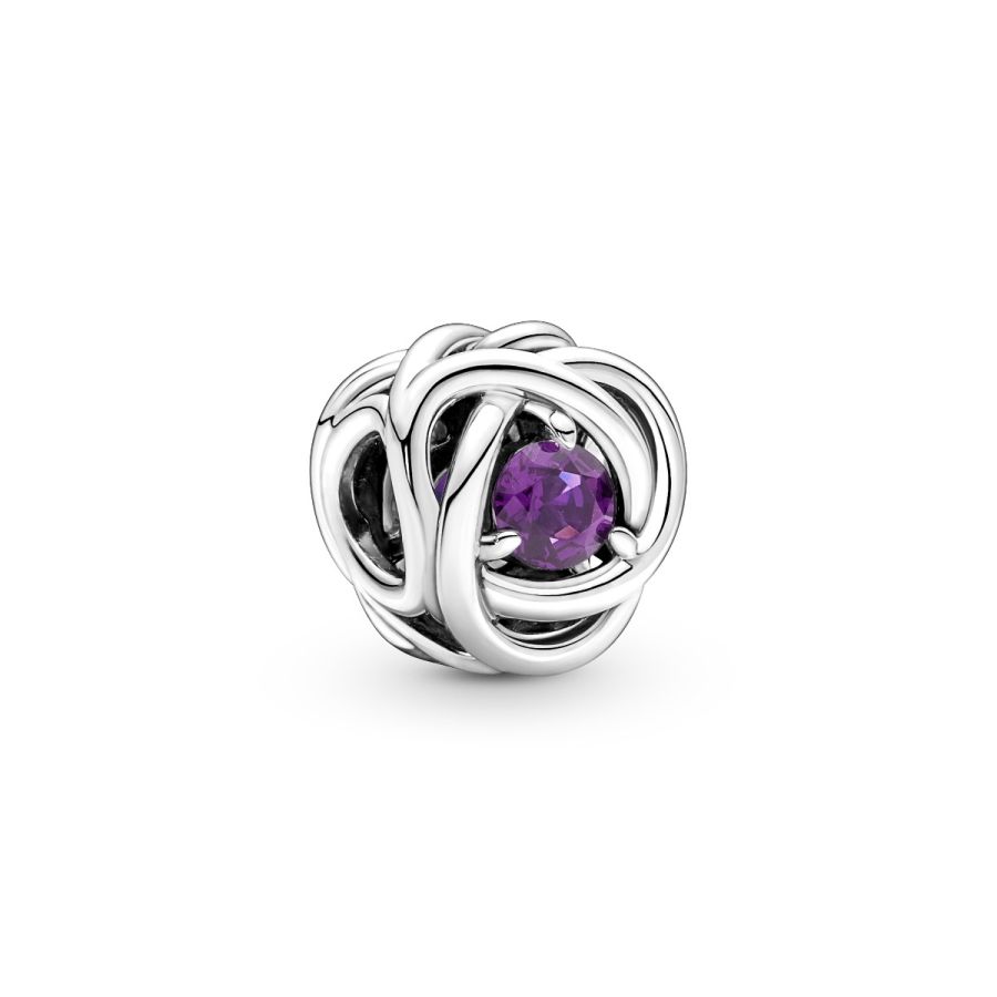 Charm Februar Geburtsstein Violetter Ewigkeitskreis Silber Hauptbild