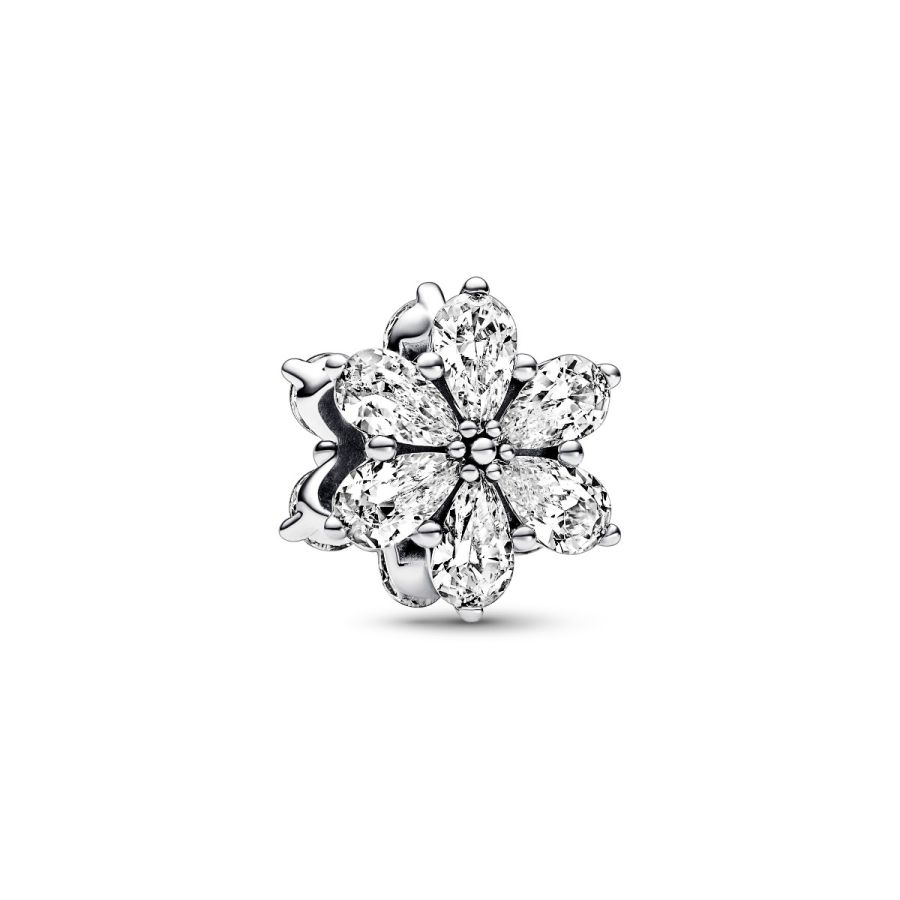Charm Funkelndes Herbarium Cluster Zirkonia Silber Zweitbild