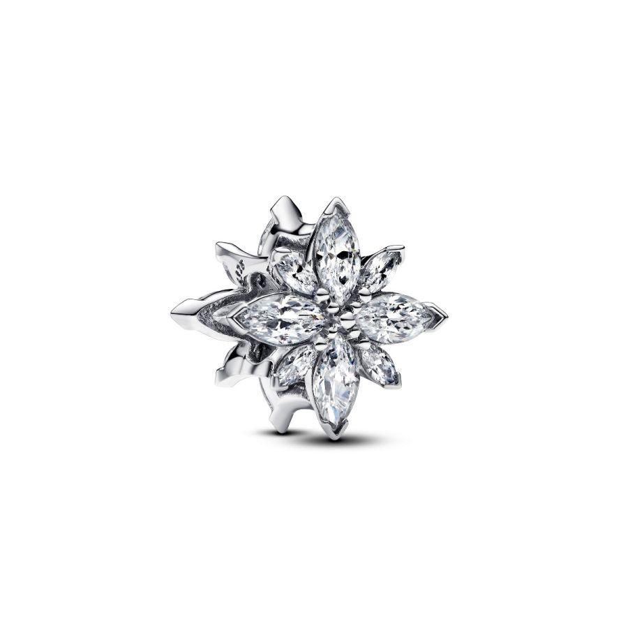 Charm Funkelnder Polarstern Zirkonia Sterling-Silber Hauptbild