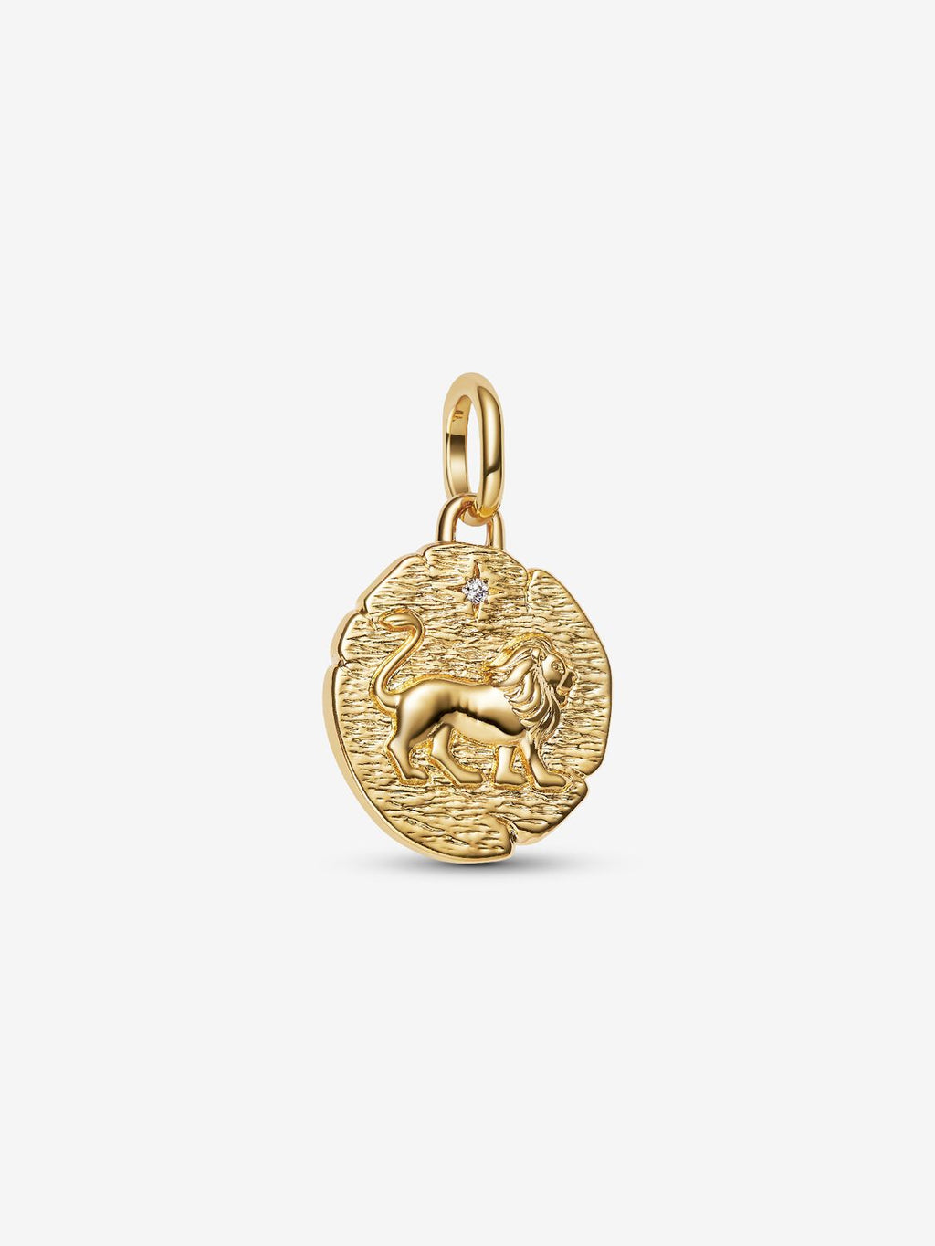 Löwe Medaillon-Charm 14 Karat Vergoldung